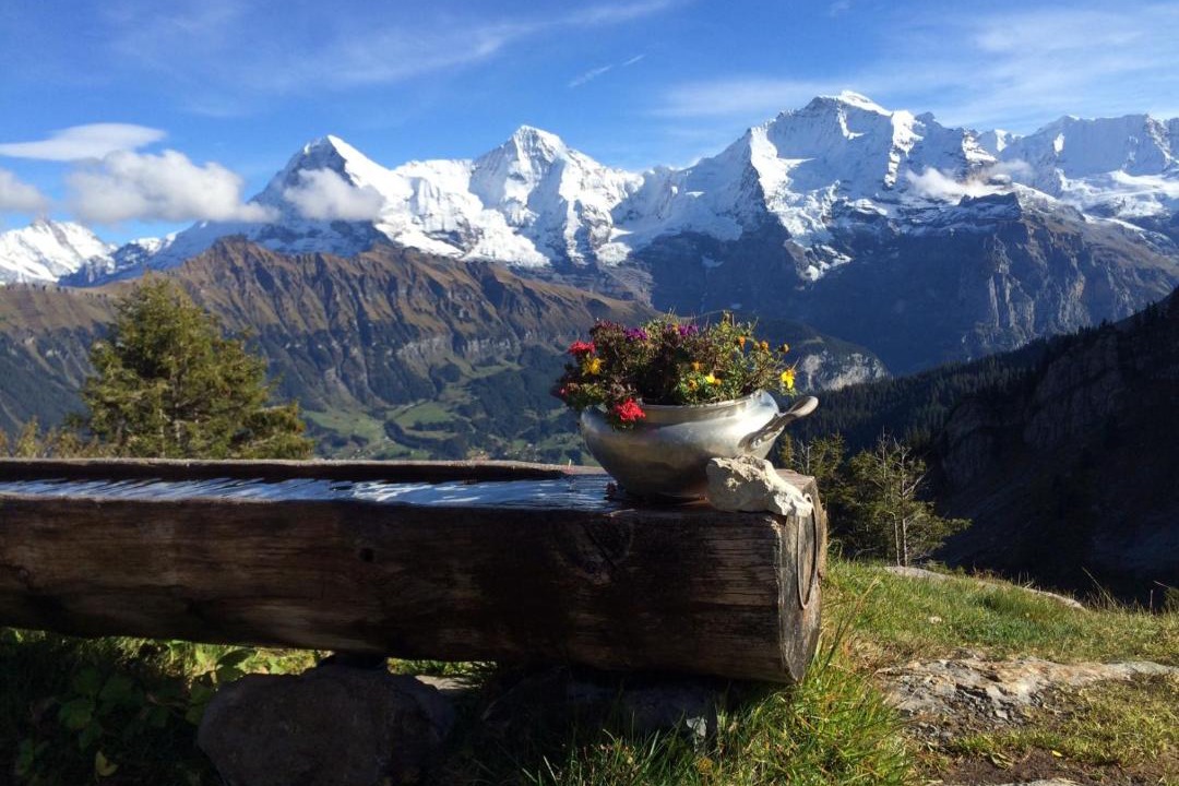 Photo of Others in Boenigen