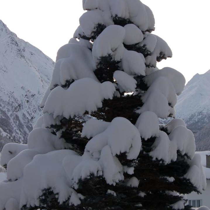 Photo of Others in Saas-Fee
