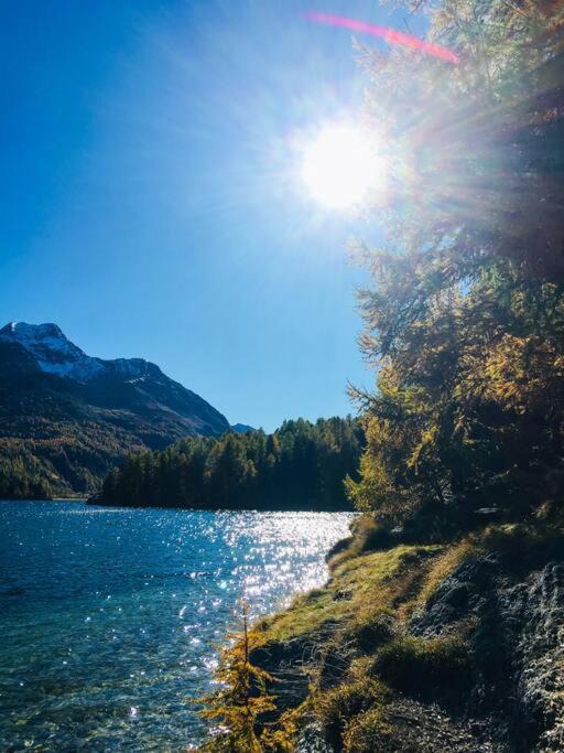 Photo of Others in Sils-Maria