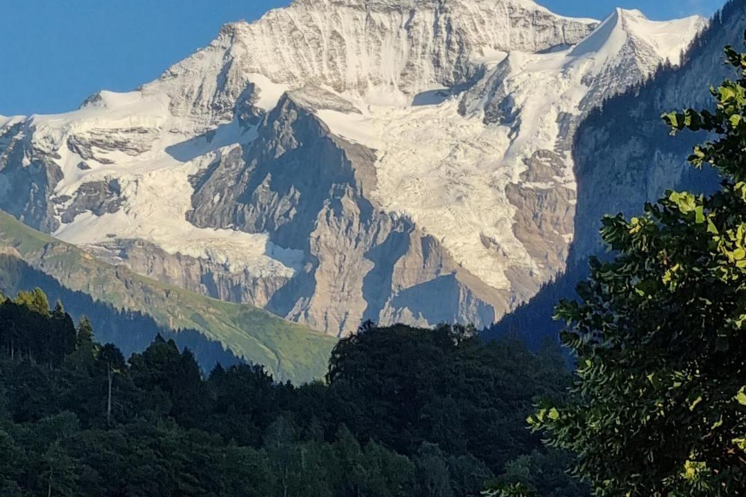 Photo of Others in Wilderswil
