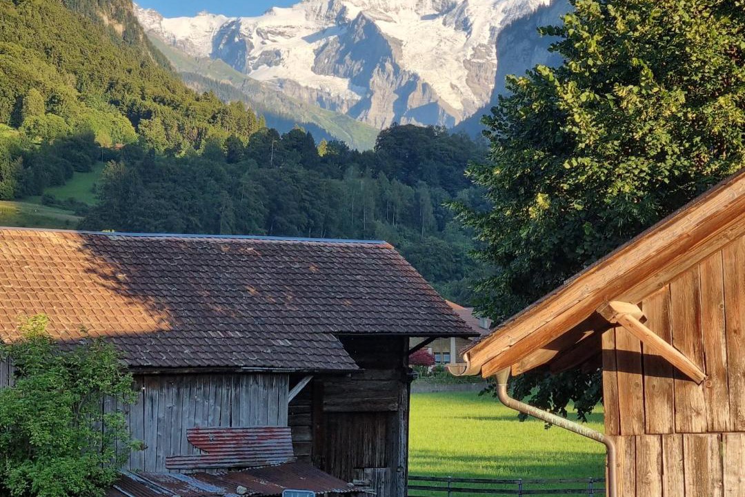 Photo of Others in Wilderswil