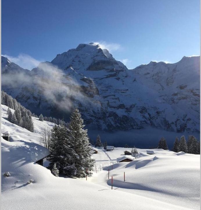 Photo of Others in Murren