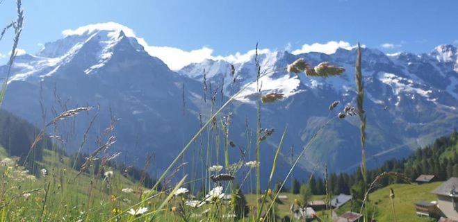 Photo of Others in Murren