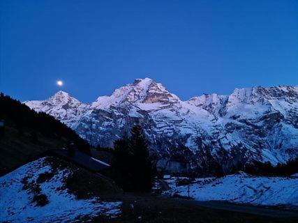 Photo of Others in Murren