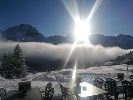 Photo of Others in Murren