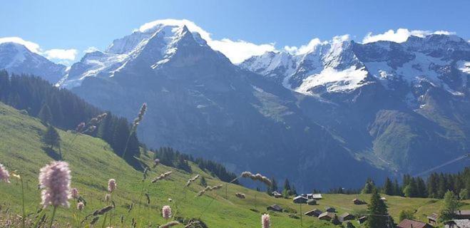 Photo of Others in Murren