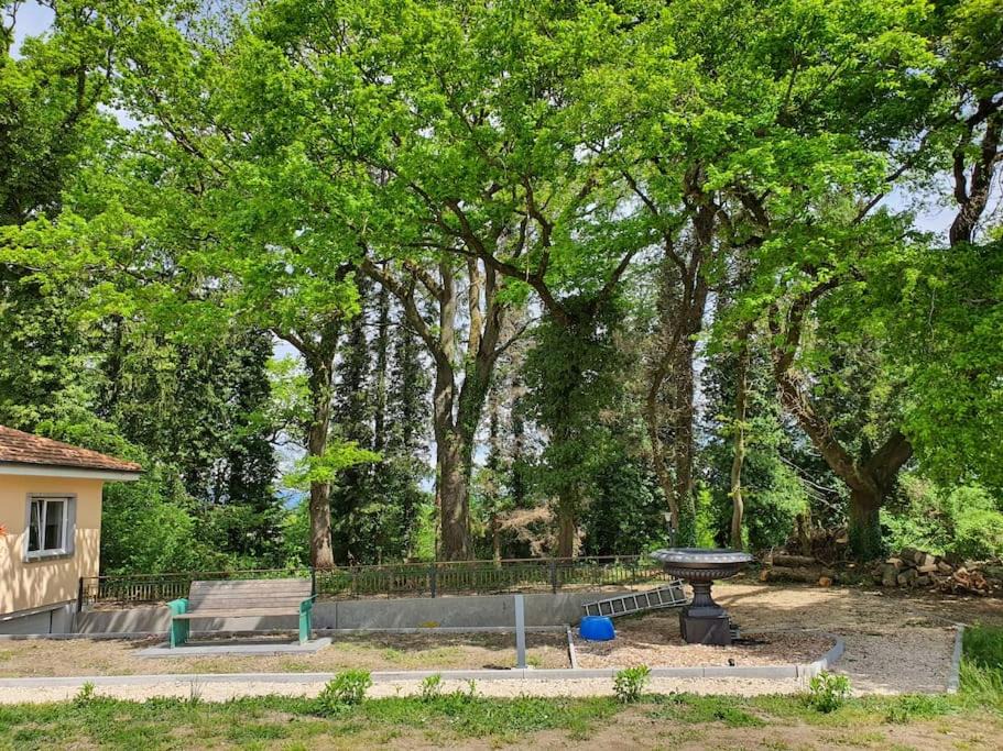 Photo of Others in Avry-sur-Matran