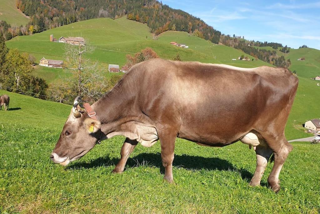 Photo of Others in Urnaesch