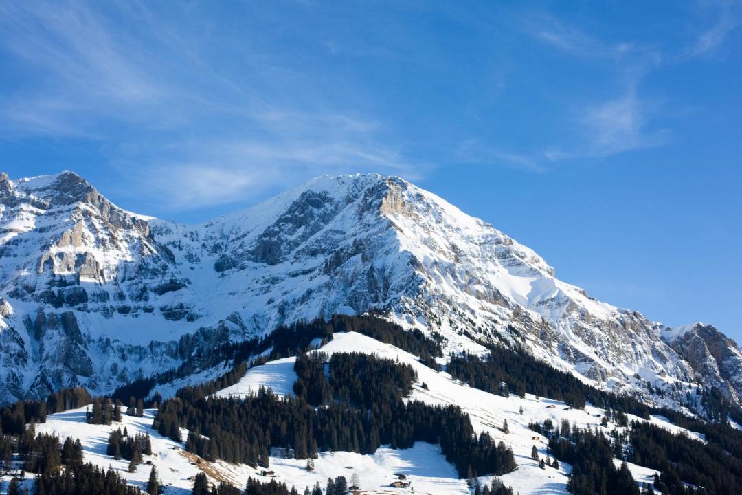 Photo of Others in Adelboden