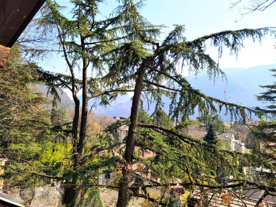 Photo of Others in Gries - Quirein