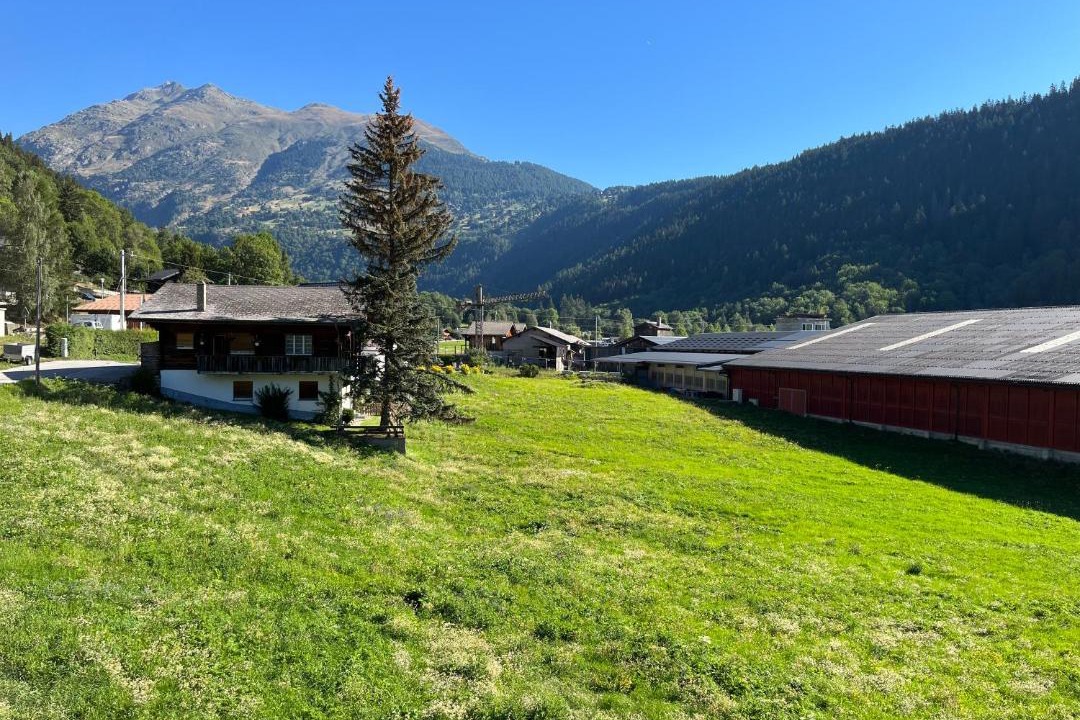 Photo of Others in Fiesch