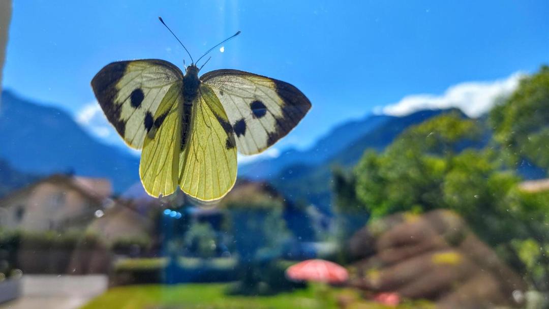 Photo of Others in Unterseen