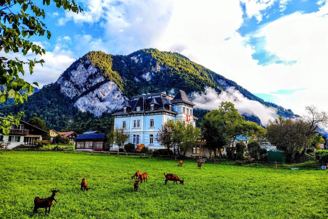 Photo of Others in Unterseen