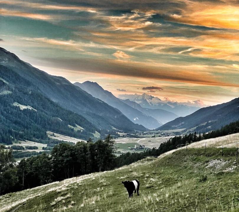 Photo of Others in Obergesteln
