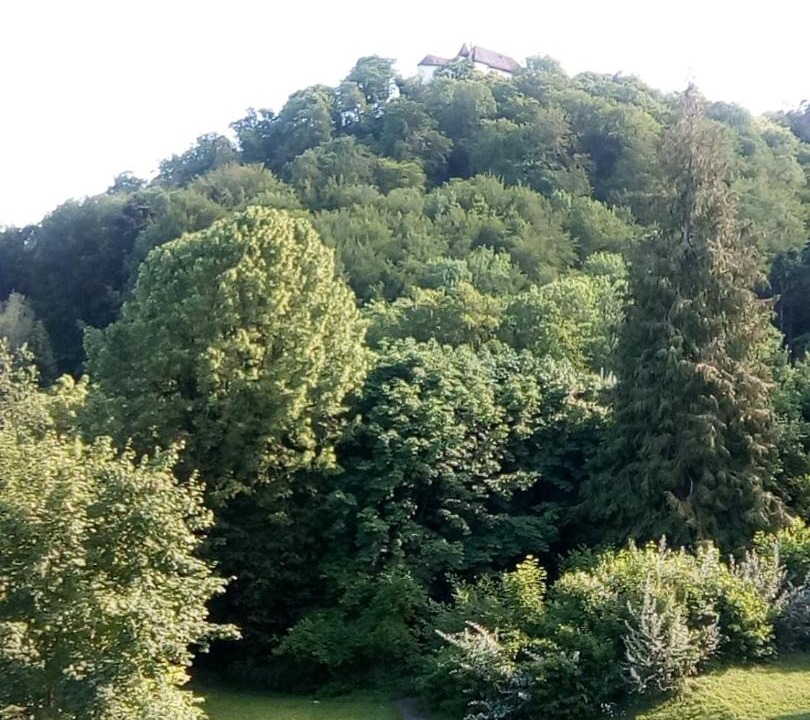 Photo of Others in Lostorf