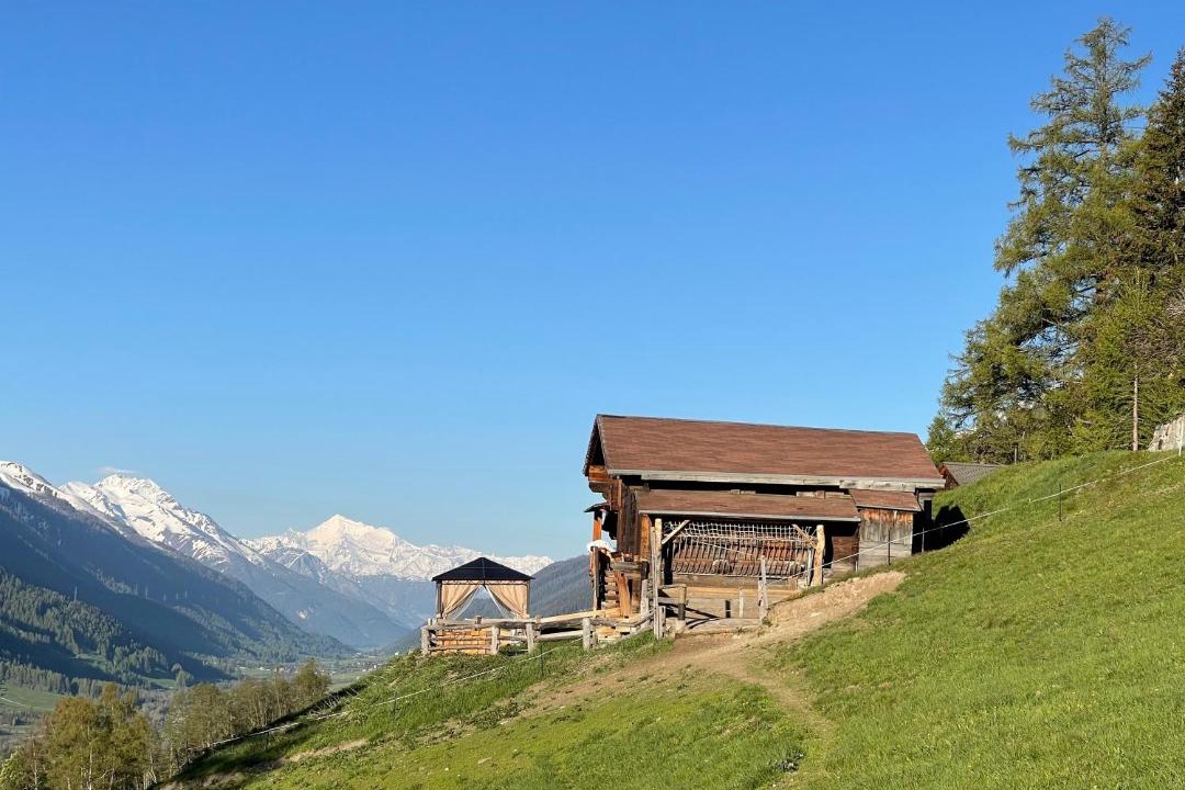 Photo of Others in Obergesteln