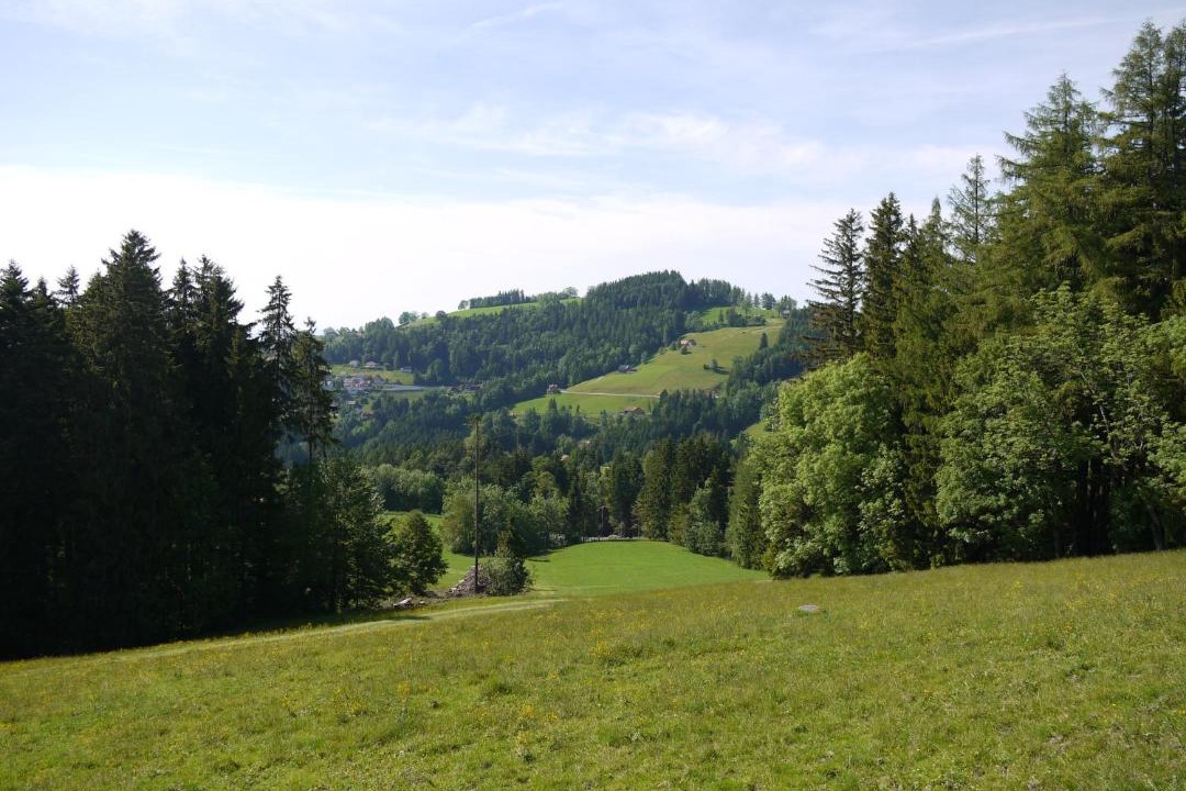 Photo of Others in Wald