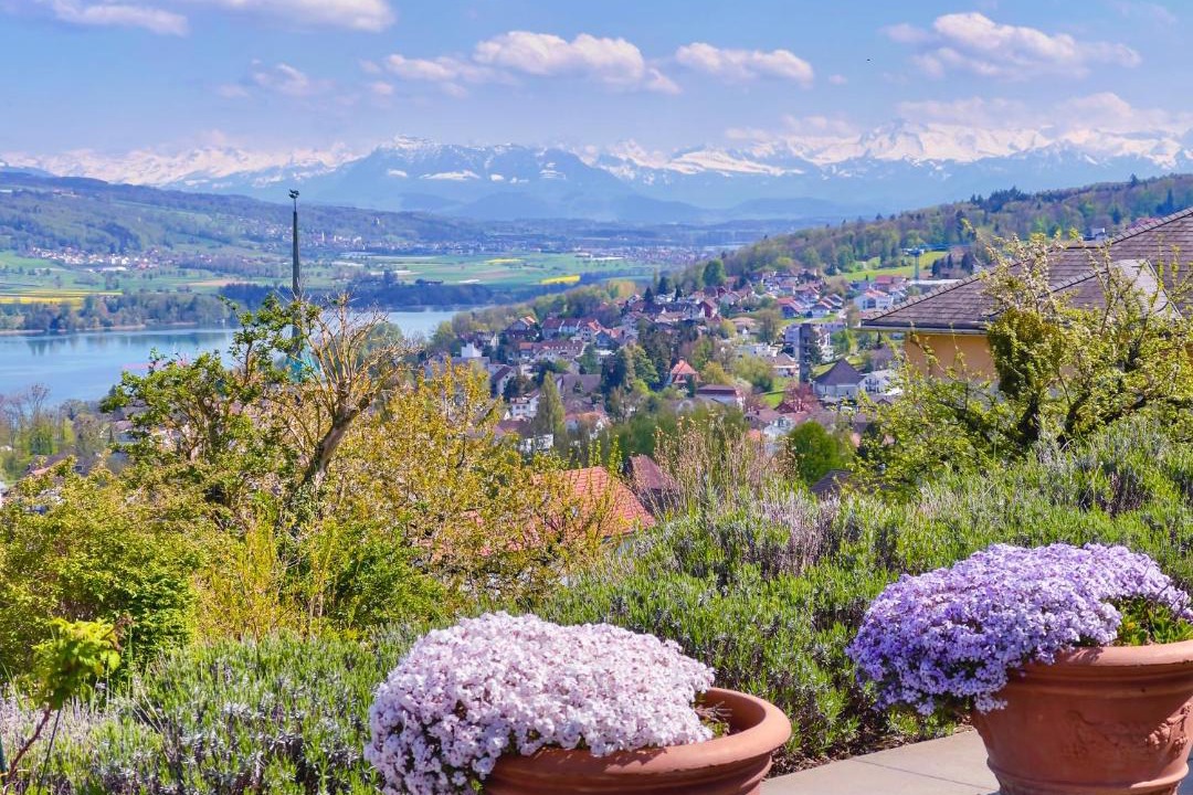 Photo of Others in Beinwil am See