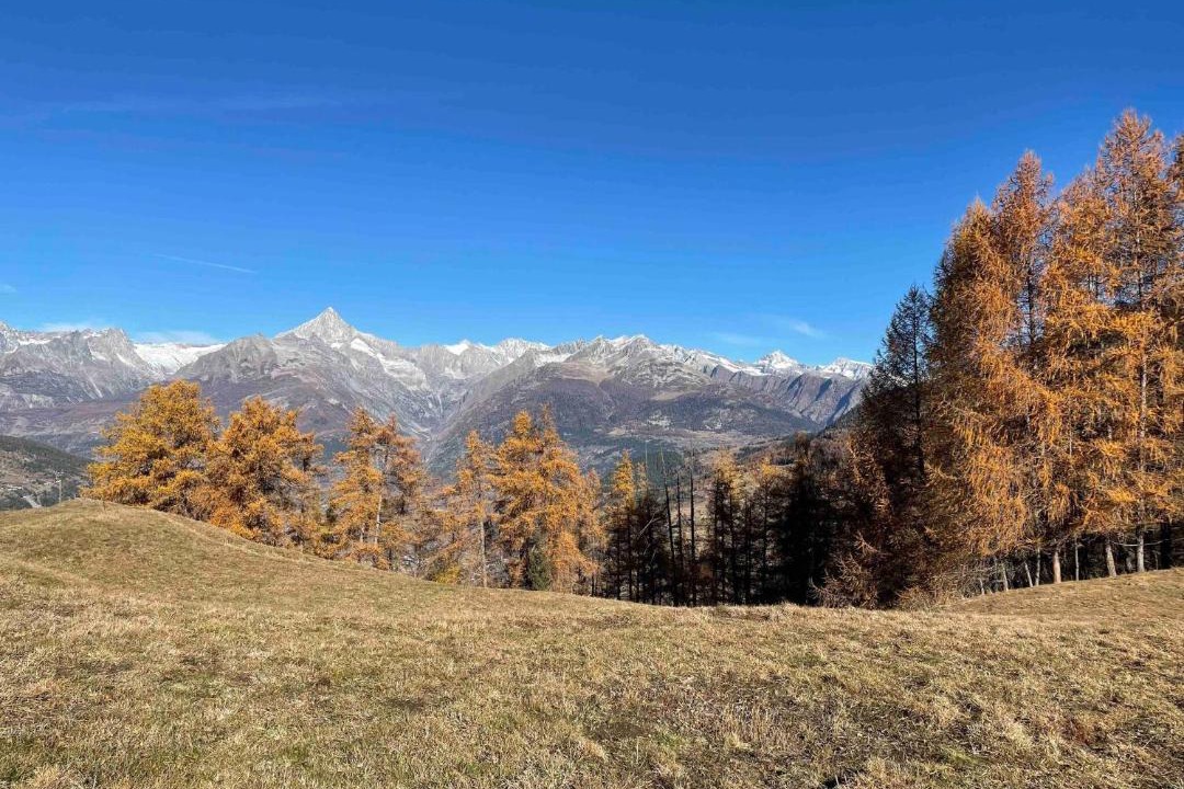 Photo of Others in Stalden