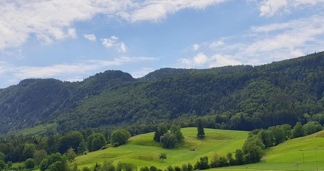 Photo of Others in Welschenrohr
