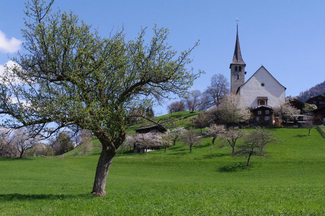 Photo of Others in Ernen