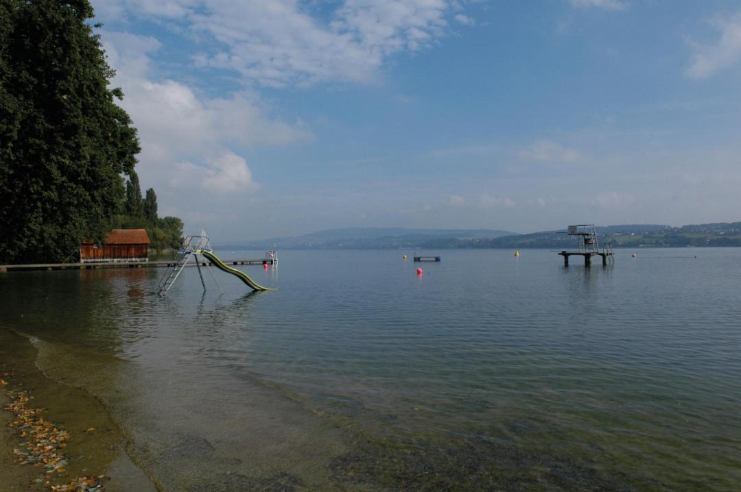 Photo of Others in Beinwil am See