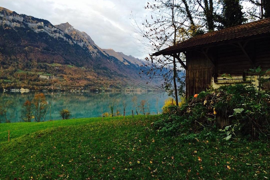 Photo of Others in Boenigen