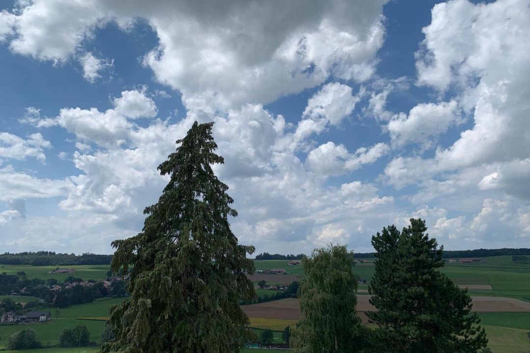 Photo of Others in Romont
