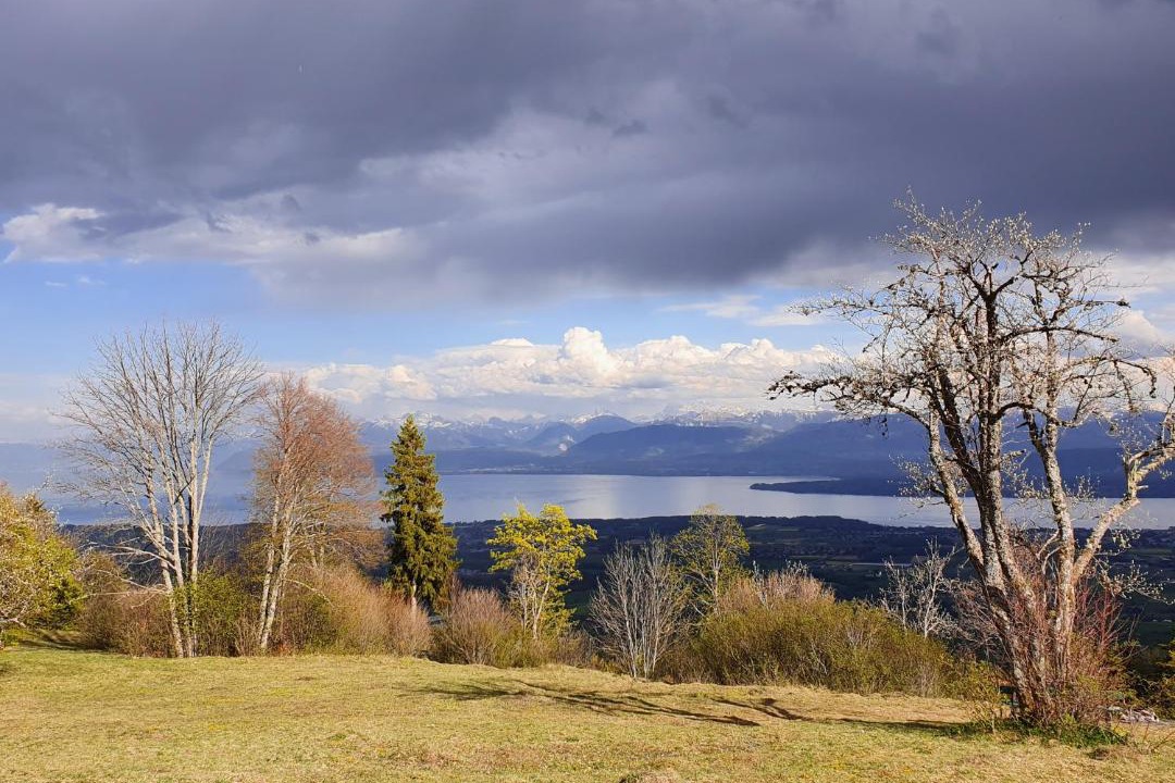 Photo of Others in Nyon
