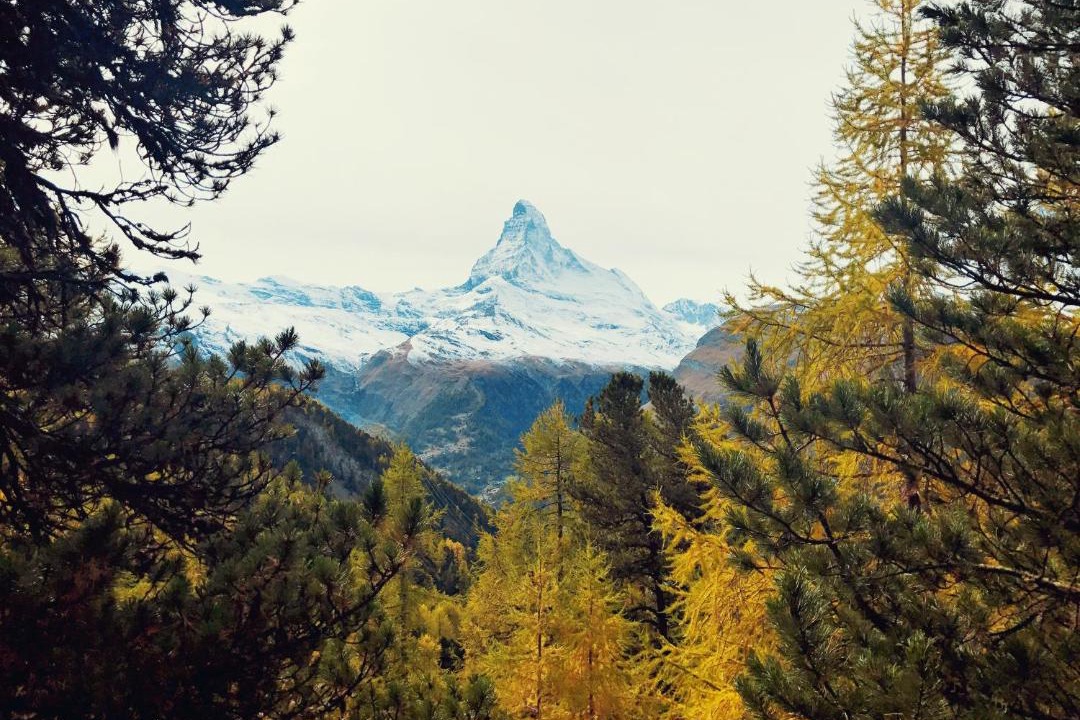 Photo of Others in Zermatt