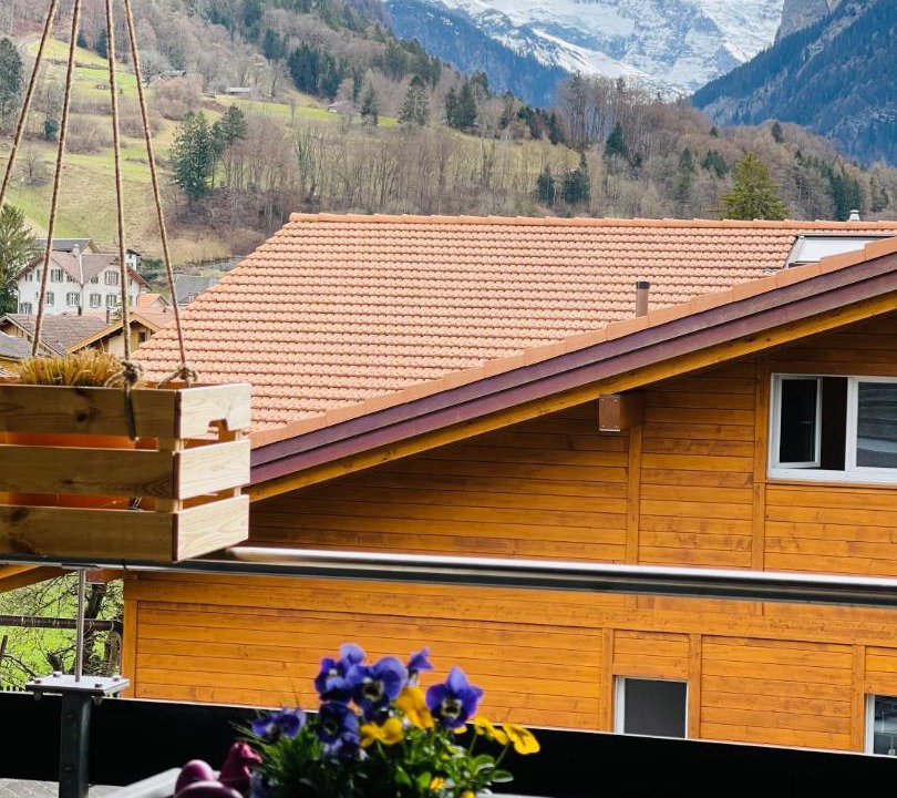 Photo of Others in Wilderswil