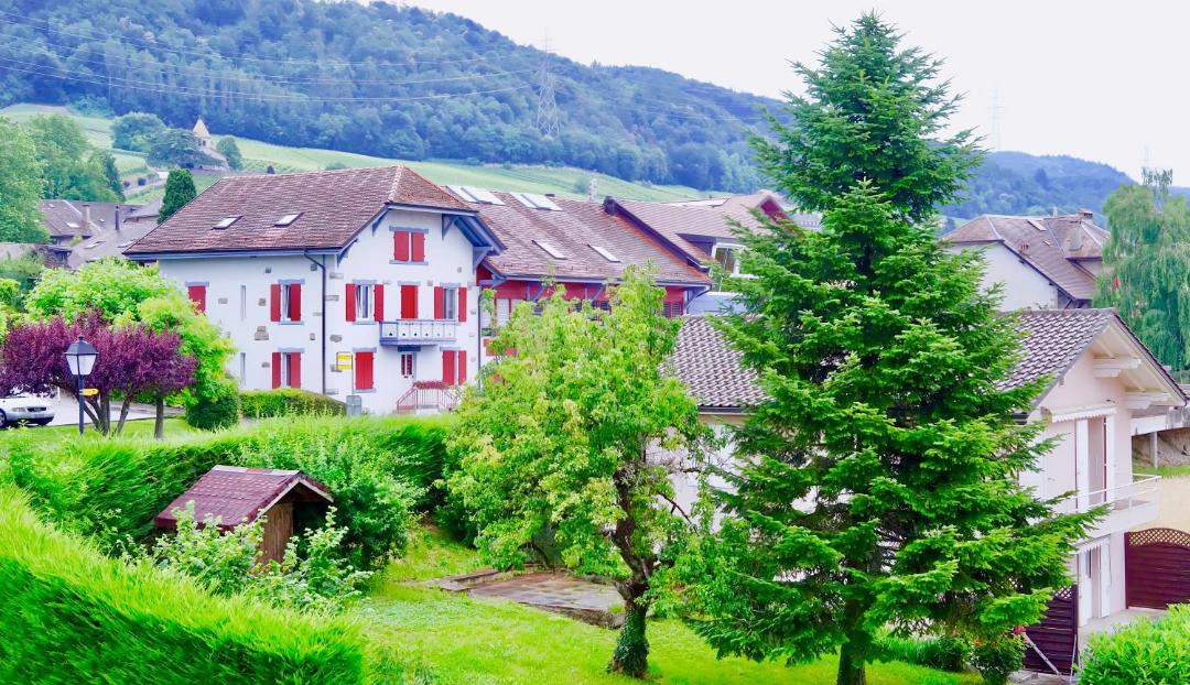 Photo of Others in Luins