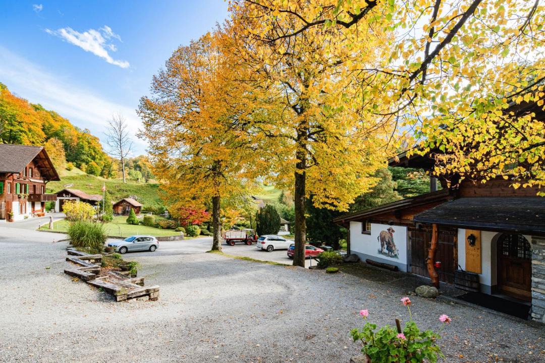 Photo of Others in Brienz
