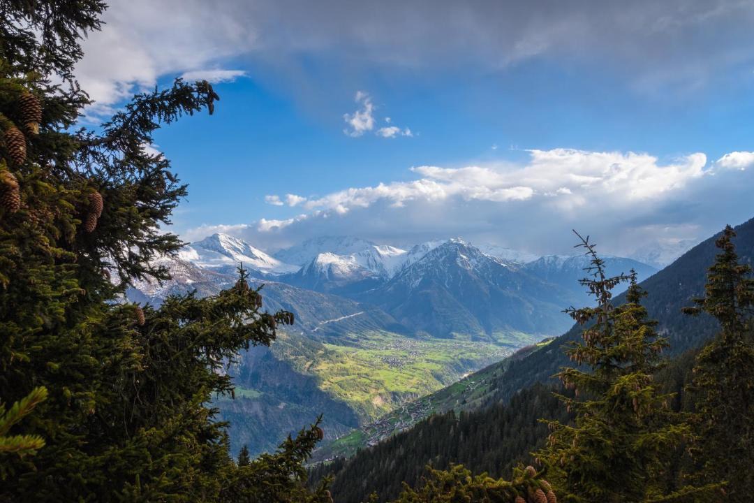 Photo of Others in Riederalp