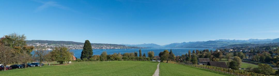 Photo of Others in Horgen District