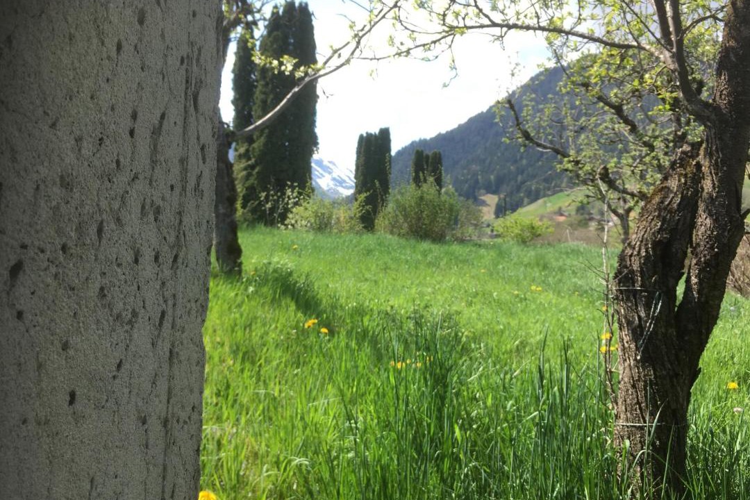 Photo of Others in Latterbach
