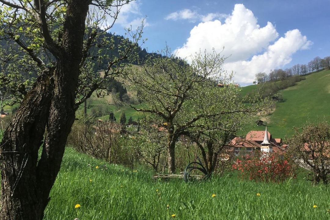Photo of Others in Latterbach