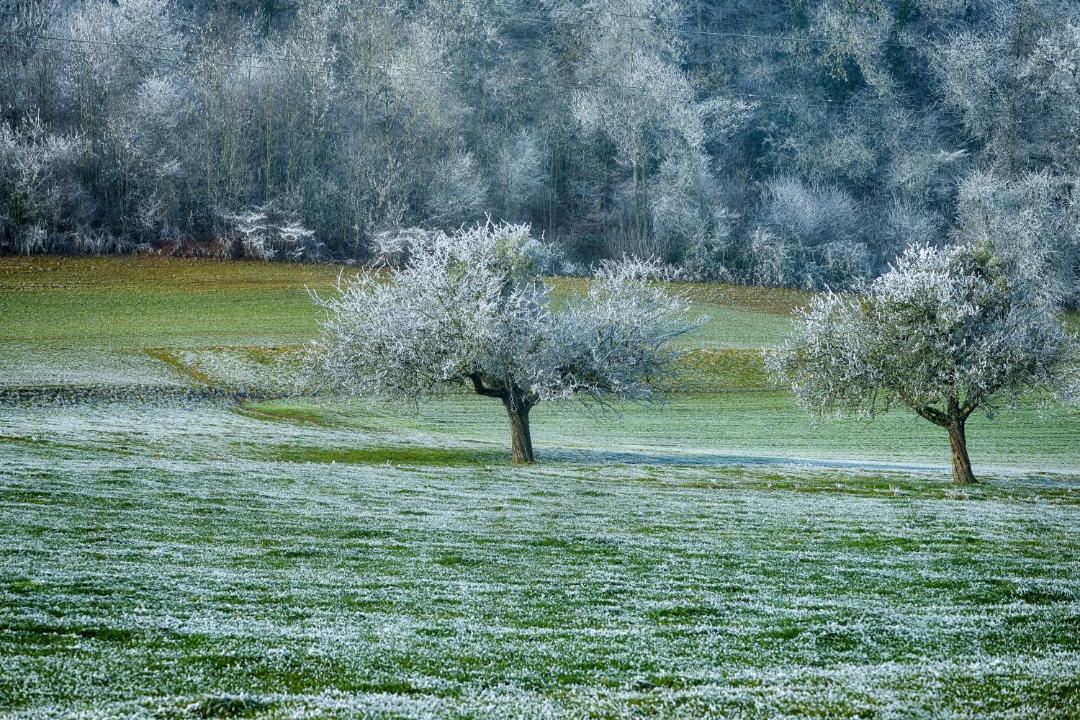 Photo of Others in Beinwil am See