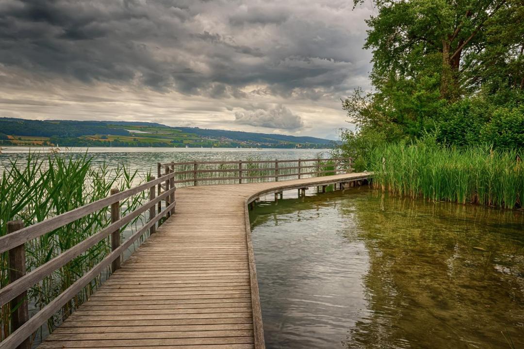 Photo of Others in Beinwil am See