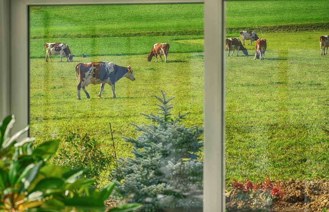 Photo of Others in Beinwil am See