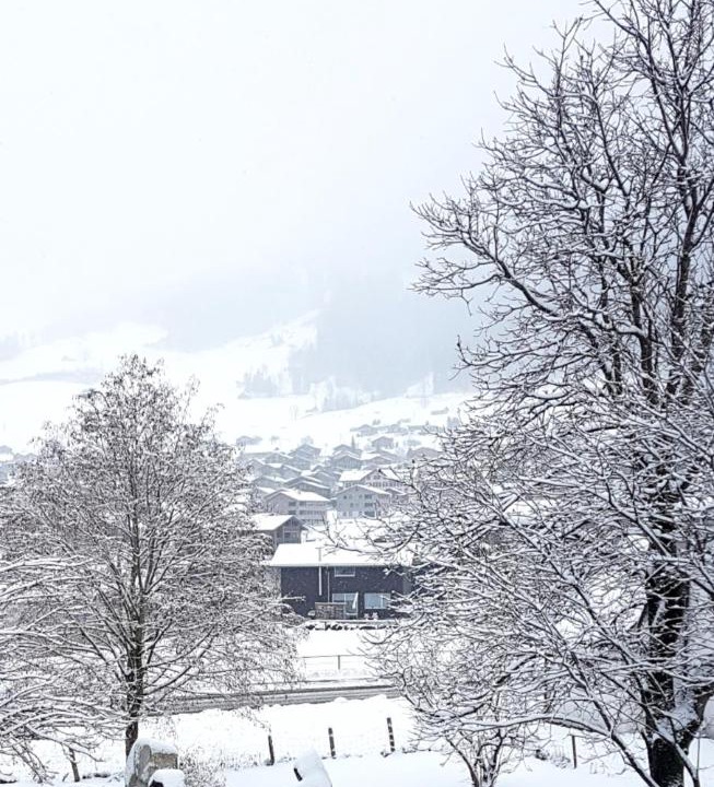 Photo of Others in Lungern