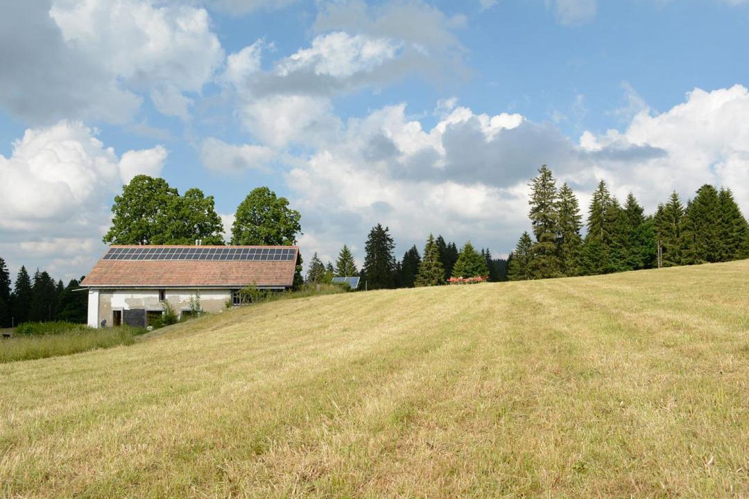 Photo of Others in Sonvilier