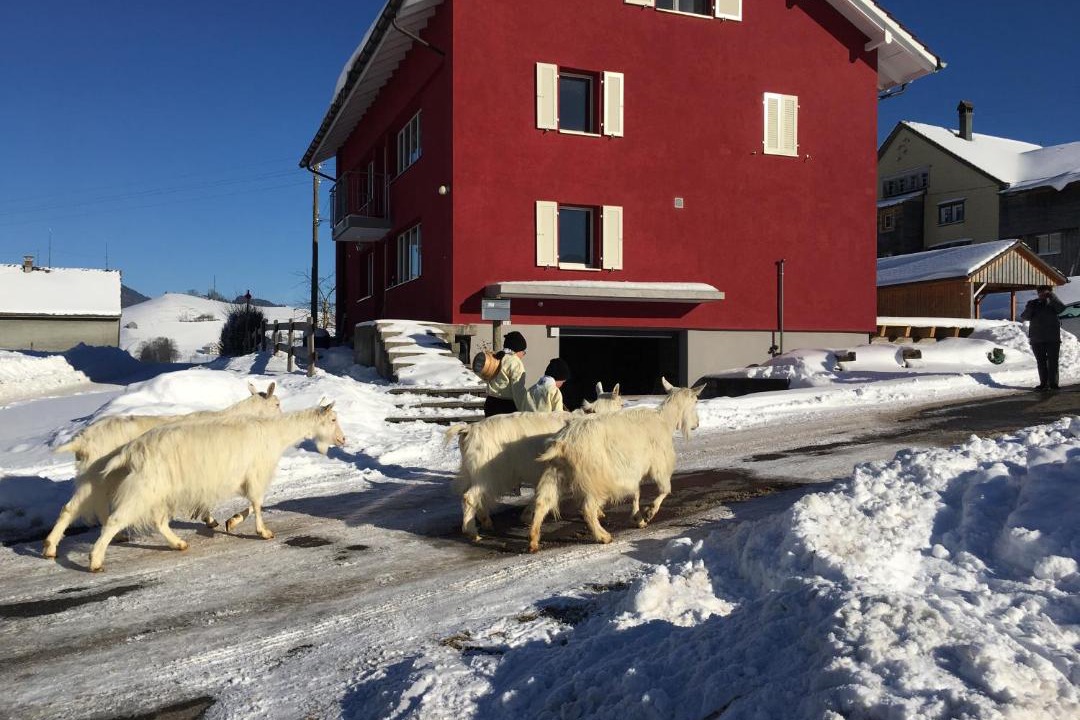 Photo of Others in Urnaesch