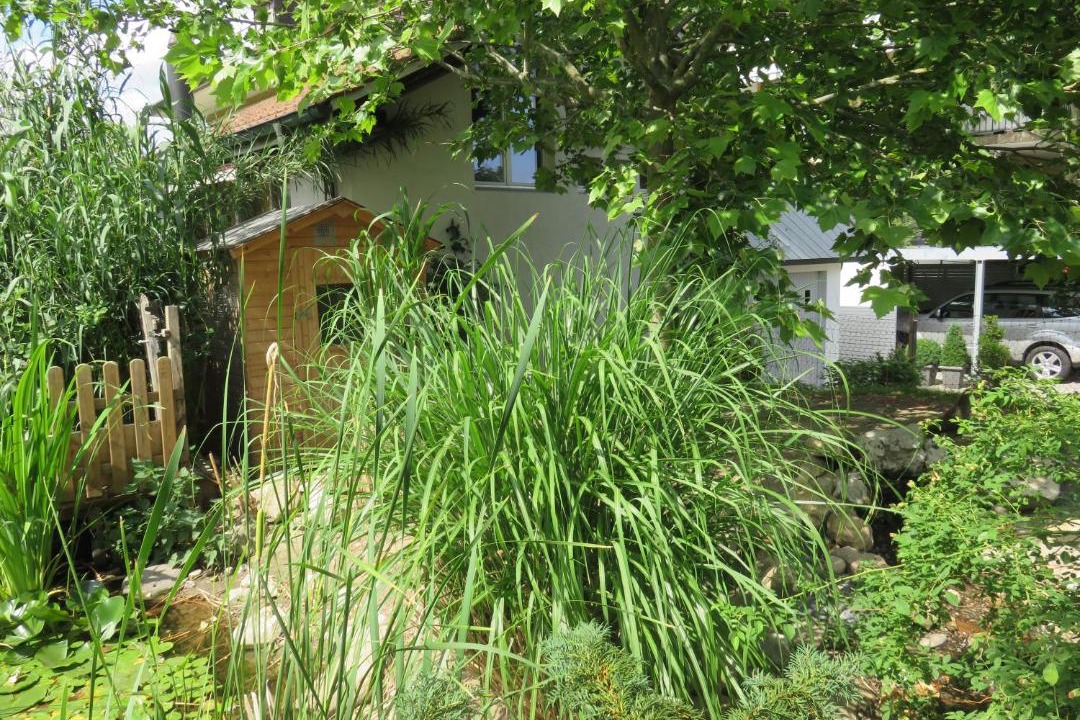 Photo of Others in Erlach