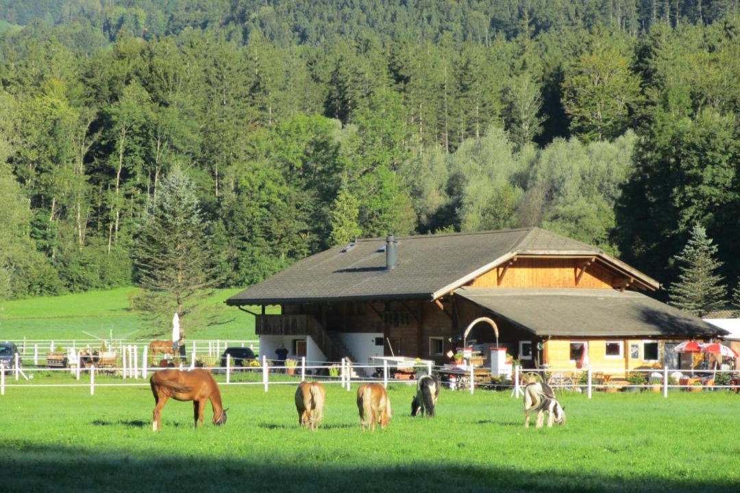 Photo of Others in Brienzwiler