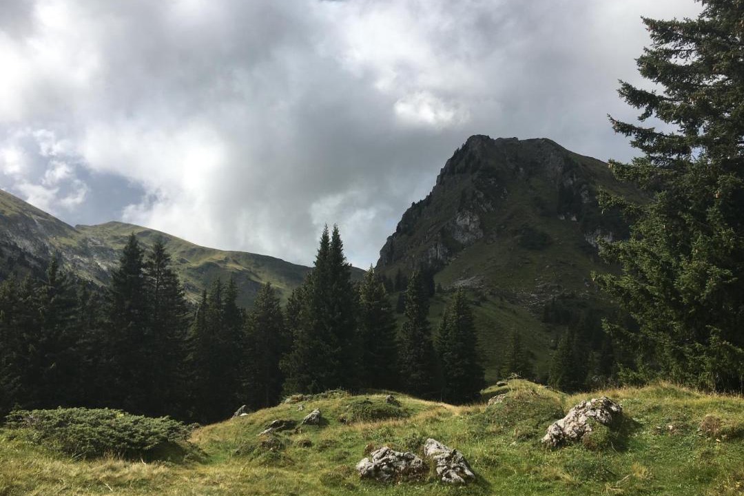 Photo of Others in Latterbach