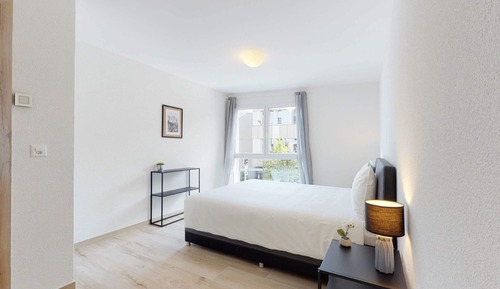 Basic Apartment, 1 Queen Bed