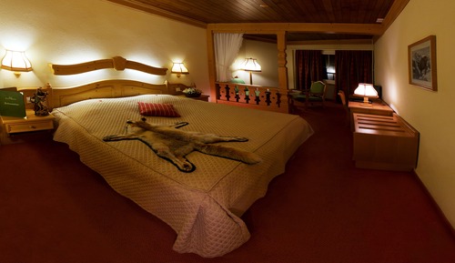Design Double Room Single Use, 1 Bedroom, Balcony, Lake View