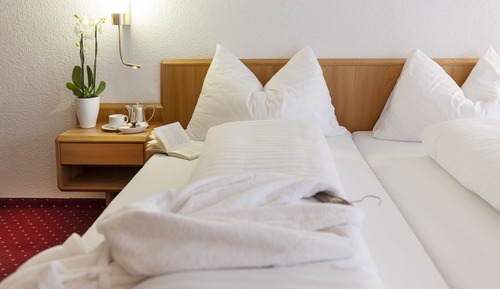 Classic Double Room, Mountain View