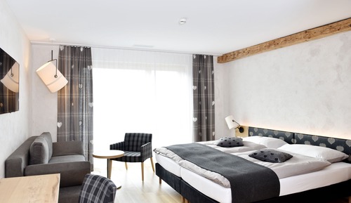 Comfort Double Room, 1 Double Bed